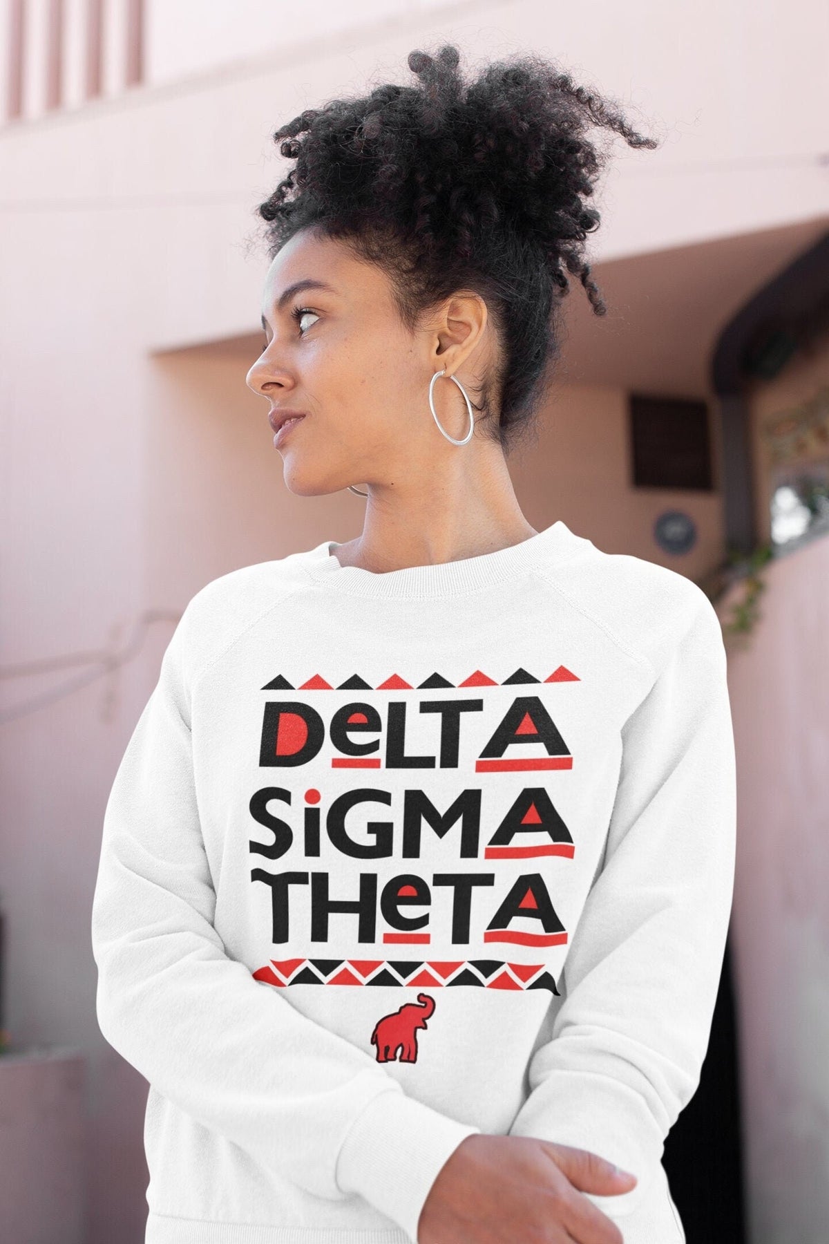Delta Sigma Theta Retro 90's Sweatshirt