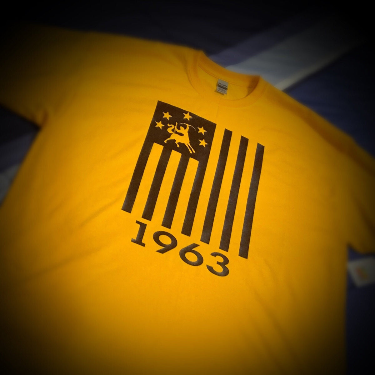 IOTA (Iota Phi Theta) Flag - T-Shirt