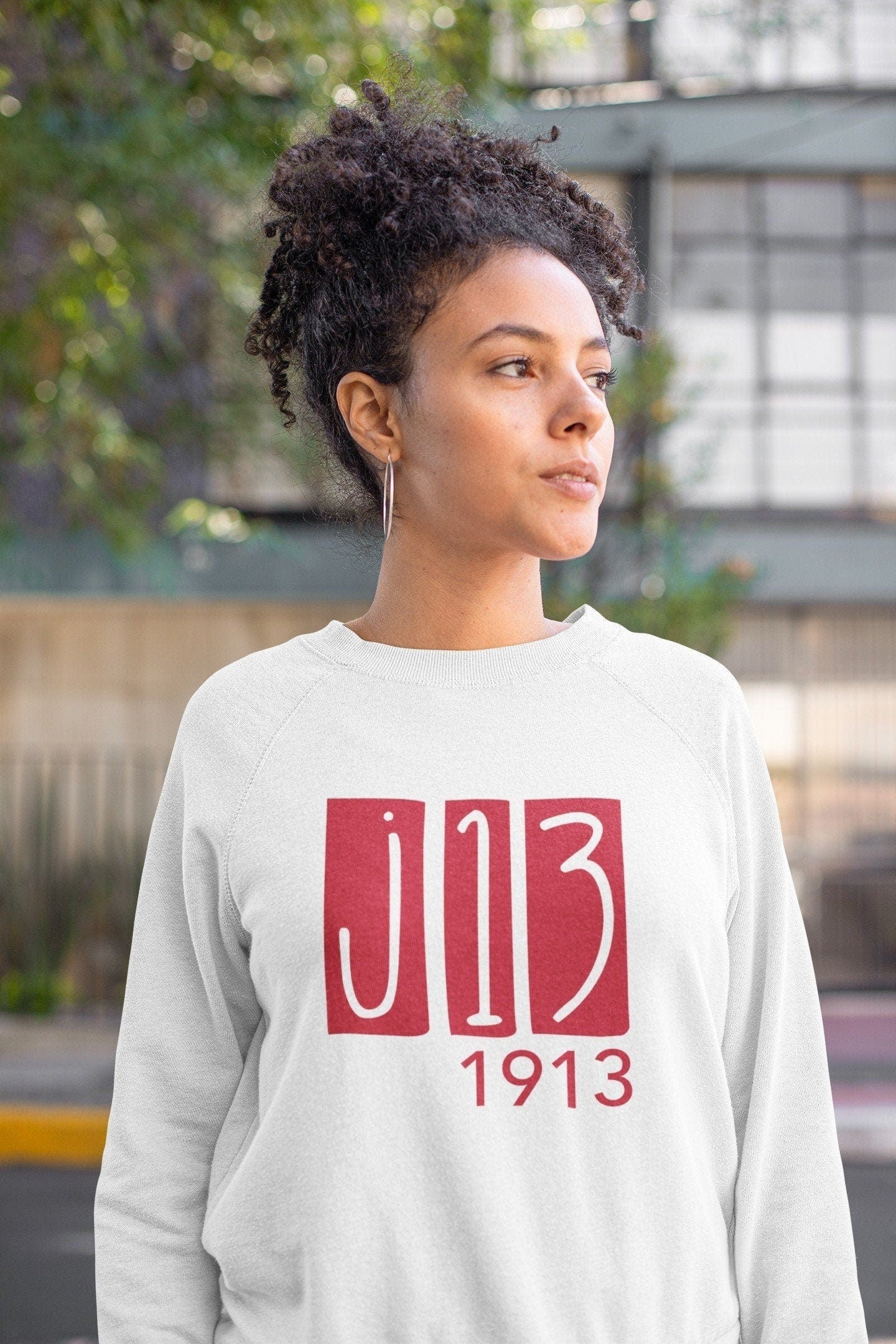 Delta Sigma Theta Sweatshirt & Hoodie - J13 v2 - White