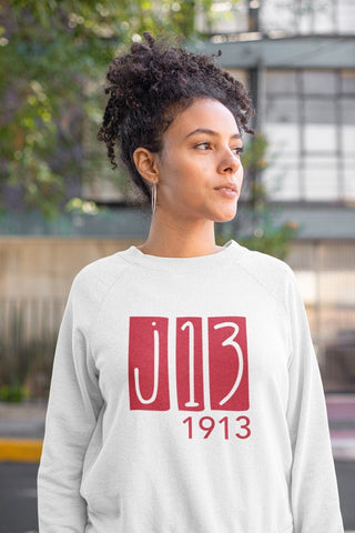 Delta Sigma Theta Sweatshirt & Hoodie - J13 v2 - White