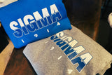 Greek - Phi Beta Sigma Hoodie Bundle 3 - 550strong